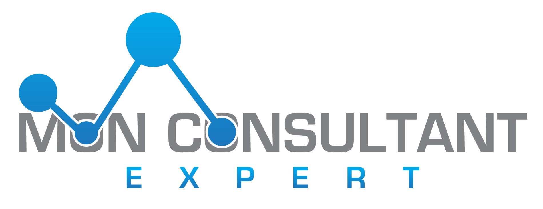 Conseil - Management de transition